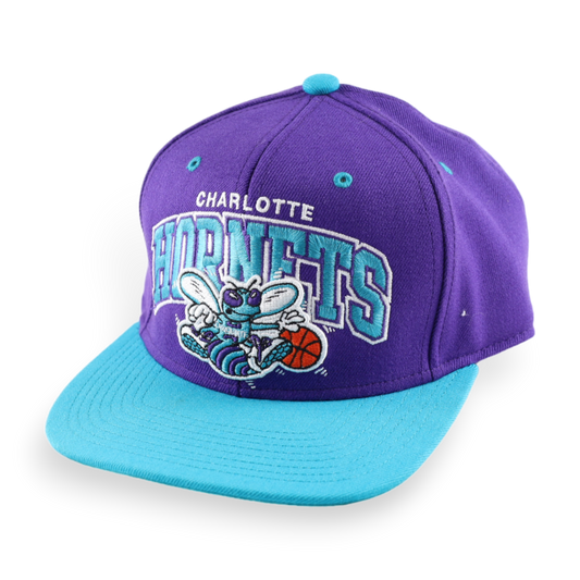 Charlotte Hornets NBA Lippis
